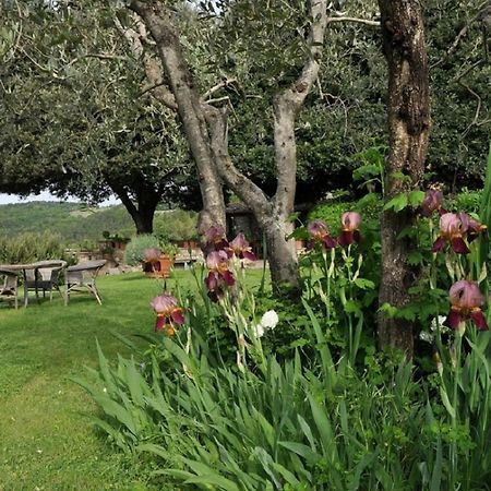 Castello Di Colognole - Appartamento Quaratesi Greve in Chianti Exteriér fotografie