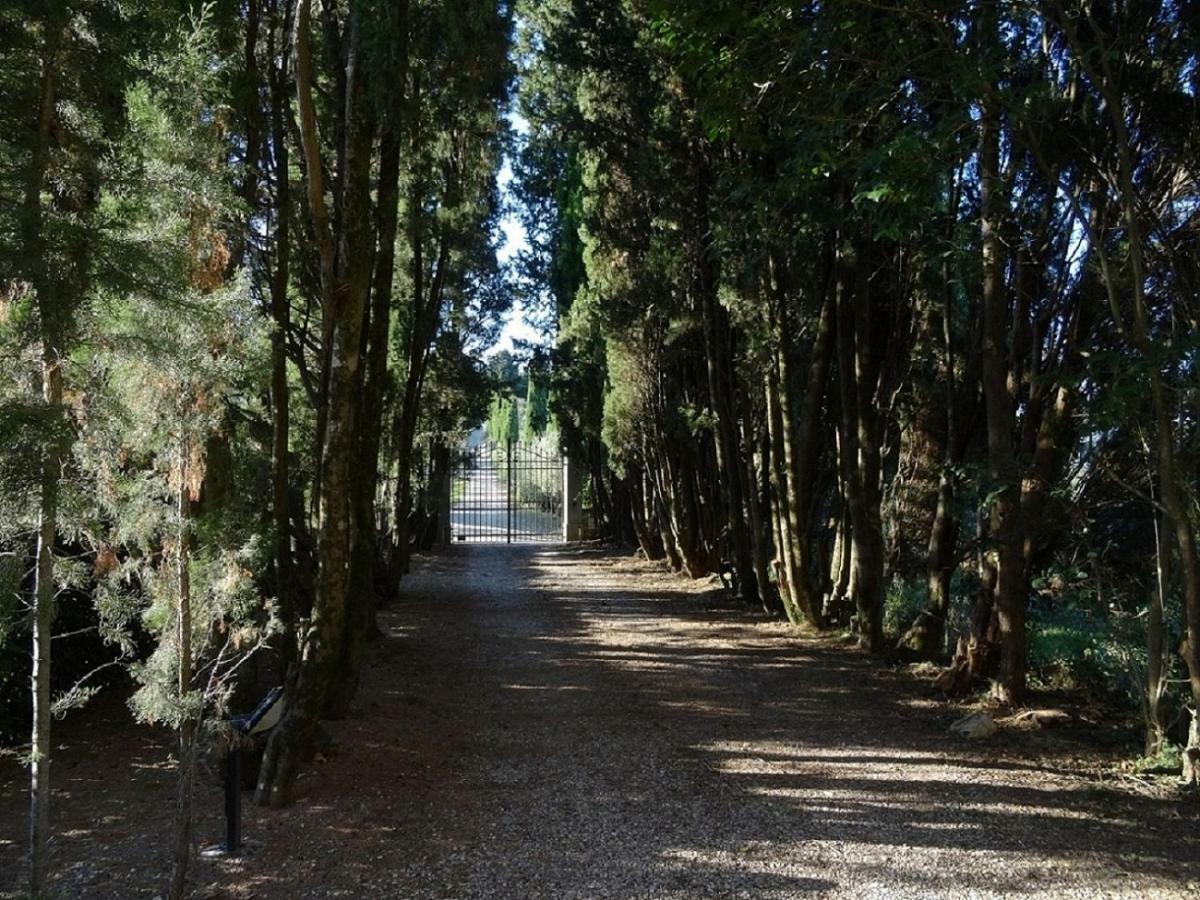 Castello Di Colognole - Appartamento Quaratesi Greve in Chianti Exteriér fotografie