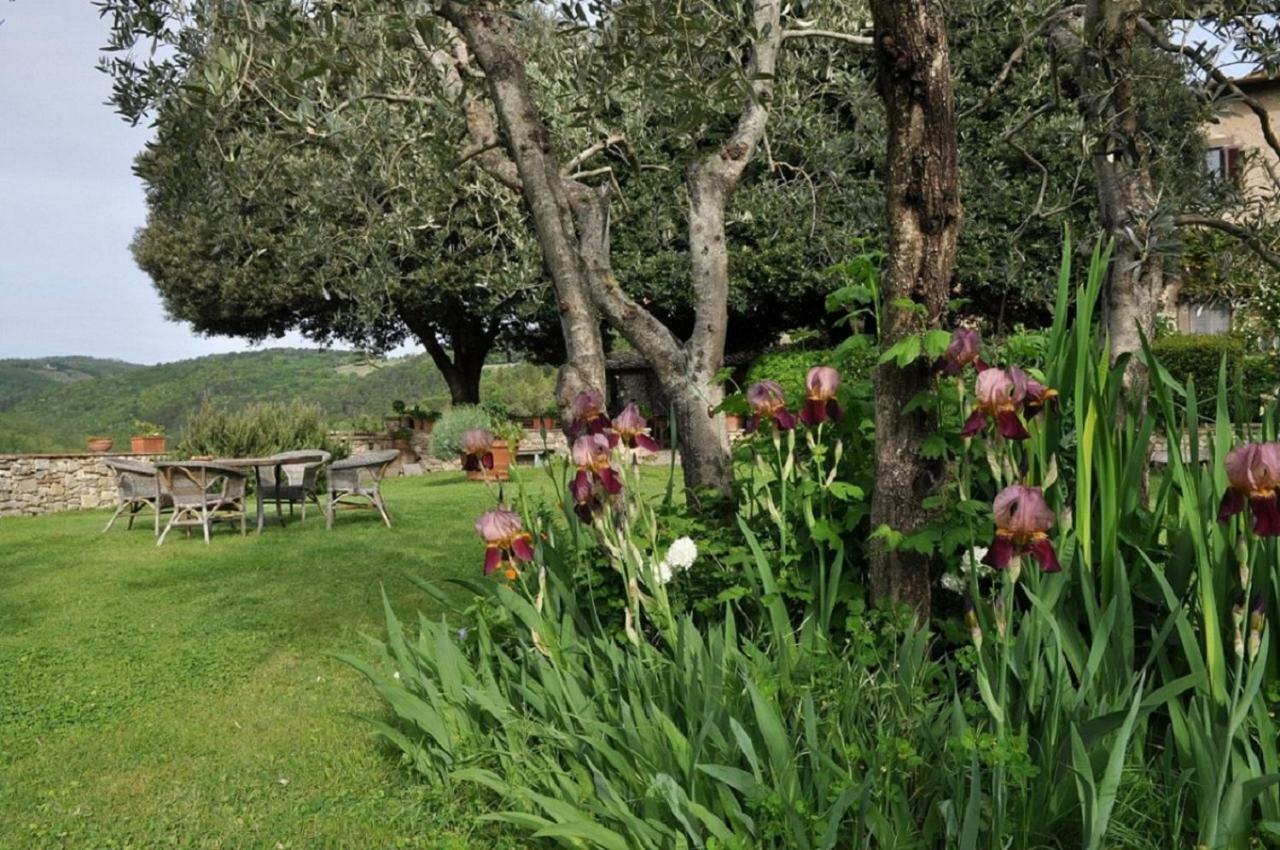 Castello Di Colognole - Appartamento Quaratesi Greve in Chianti Exteriér fotografie